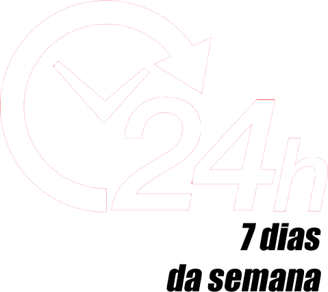24 horas